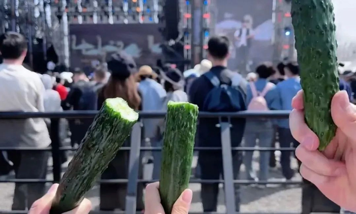 ▲图/小红书@一品