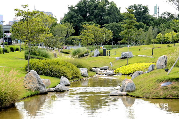 光明楼村湿地公园被评为"2023年深圳市环境教育基地"|深圳市_新浪新闻
