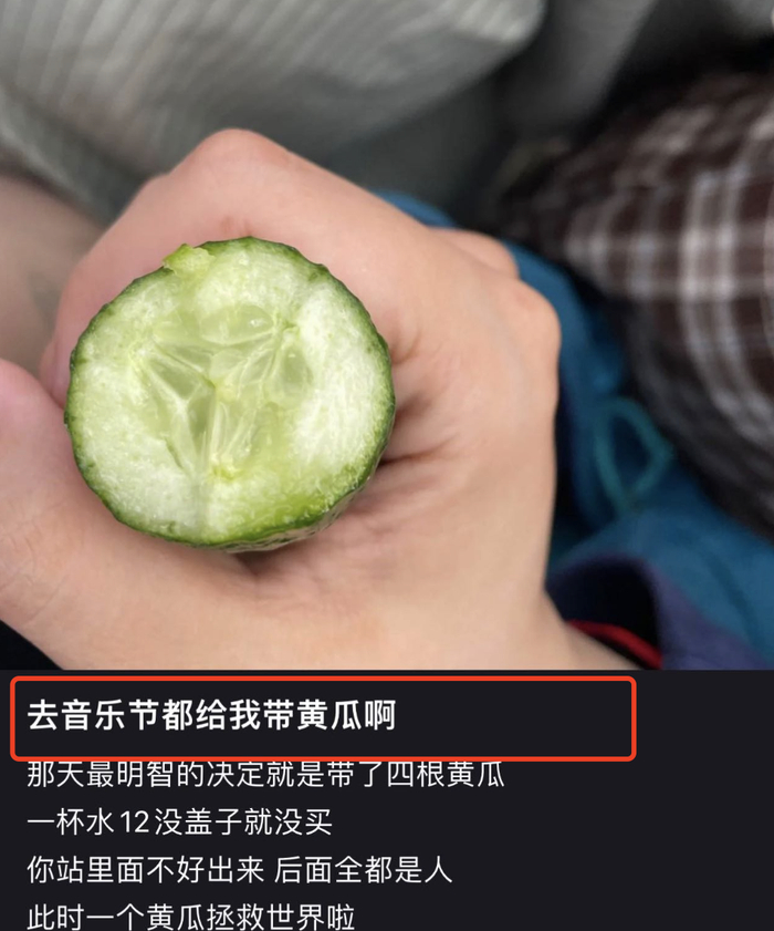 ▲图 小红书@皮带面在逃揪片子