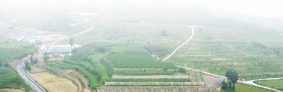 中草药梯田。本版图片除署名外，均由中共滦平县委宣传部供图