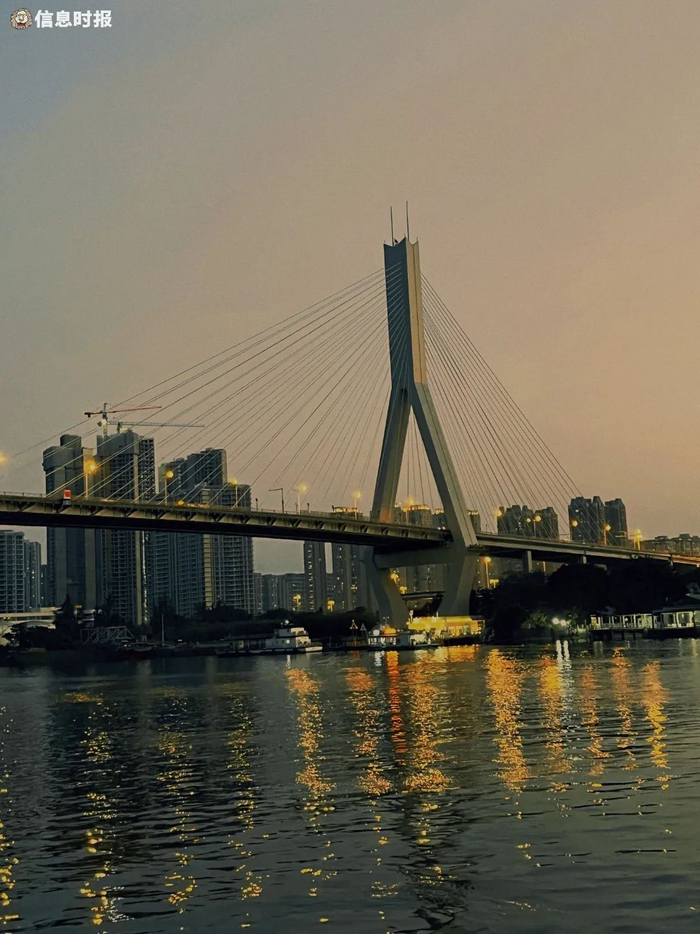每当鹤洞大桥两侧灯光亮起，桥上实景与江中倒影交相辉映。信息时报记者 李馨 摄