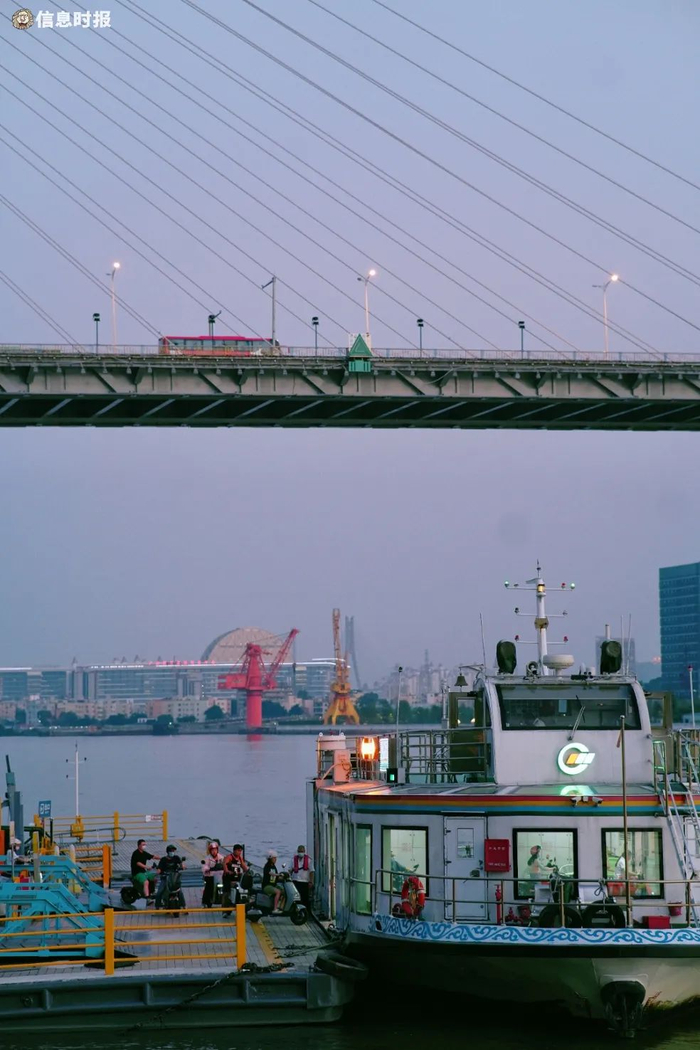 鹤洞大桥和白蚬壳码头。信息时报记者 李馨 摄