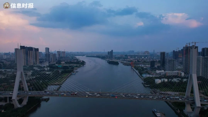 鹤洞大桥。信息时报记者 李卓颖 摄