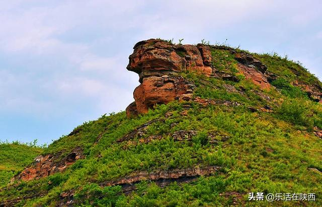观美景，看演出，品枣茶，红枣之乡延川“枣”想约你！来吗？