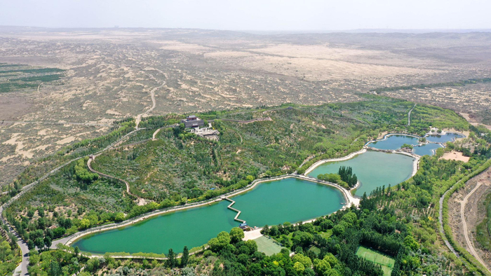 治沙70载 沙海变绿洲|宁夏|无人机|灵武市_新浪新闻