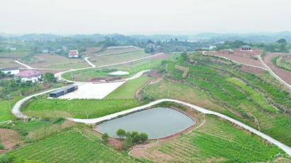 大安区—威远县成渝现代高效特色农业带合作园区。