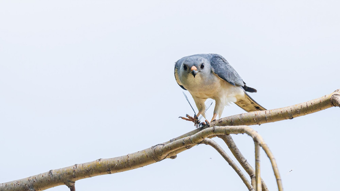      哎呀，粘脚上了，别看了~     