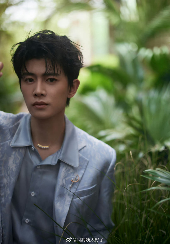 有网友问张若昀,陈晓,任嘉伦这几个已婚男人死忠粉这么多……|任嘉伦