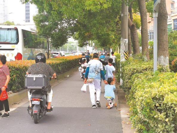             没有专用人行道，接送孩子险象环生  王军  摄          