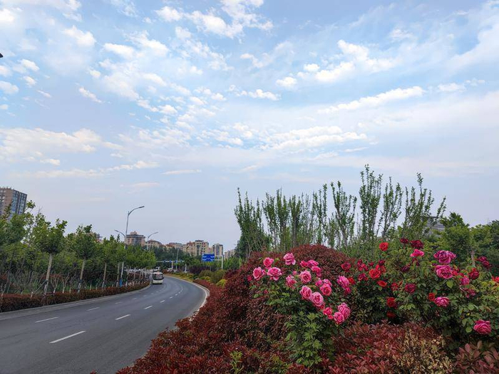 芝罘区竹林路绿化提升改造工程全部完成|广州市|芝罘区|中铁_新浪新闻