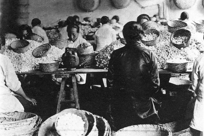 1920年代，上海蚕丝厂里的女工。