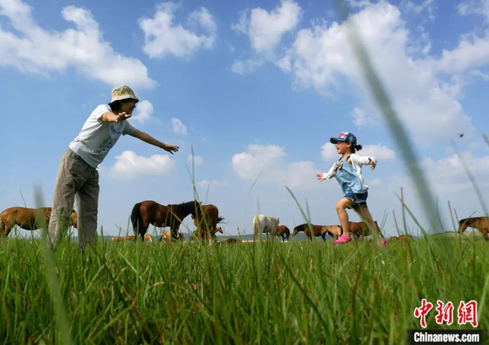 2016年8月，祖孙俩在塞罕坝机械林场内玩耍。杨可佳 摄
