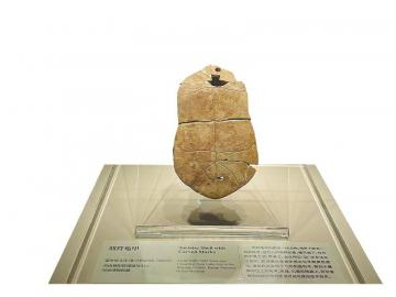 ⑥来自河南贾湖遗址的刻符龟甲。