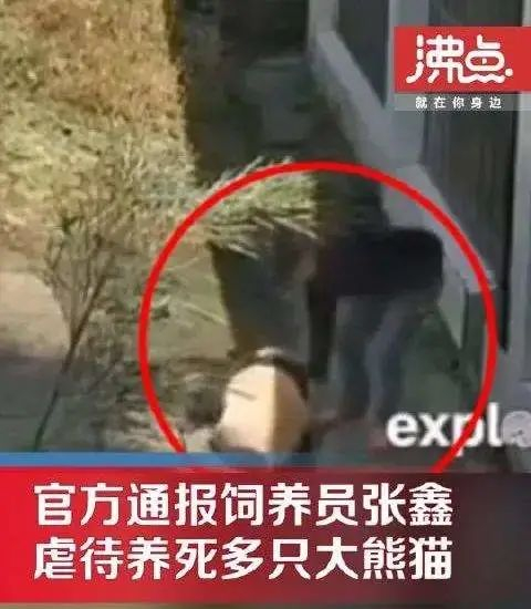 网传视频截图