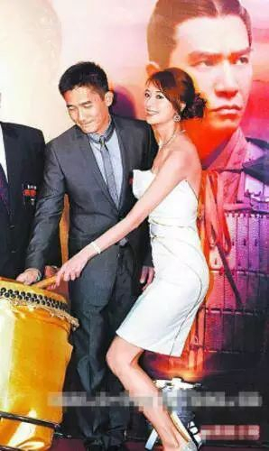 林志玲演艺生涯复盘