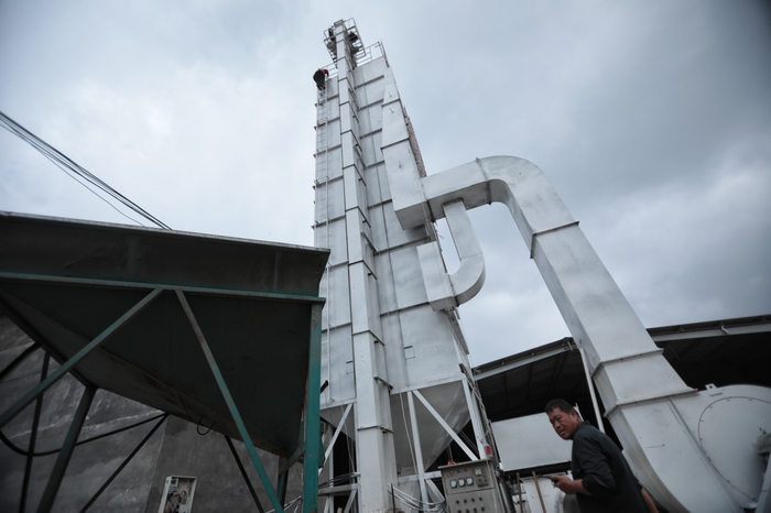 杜店村内高耸的粮食烘干机。一台烘干机一天就可以烘干一百吨小麦。新京报记者王嘉宁摄