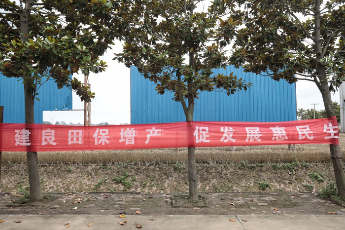 商水县内的助农标语。新京报记者&nbsp;王嘉宁 摄