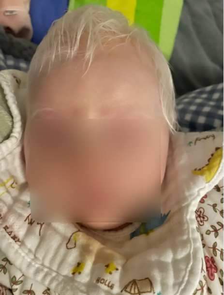 照片来自小红书