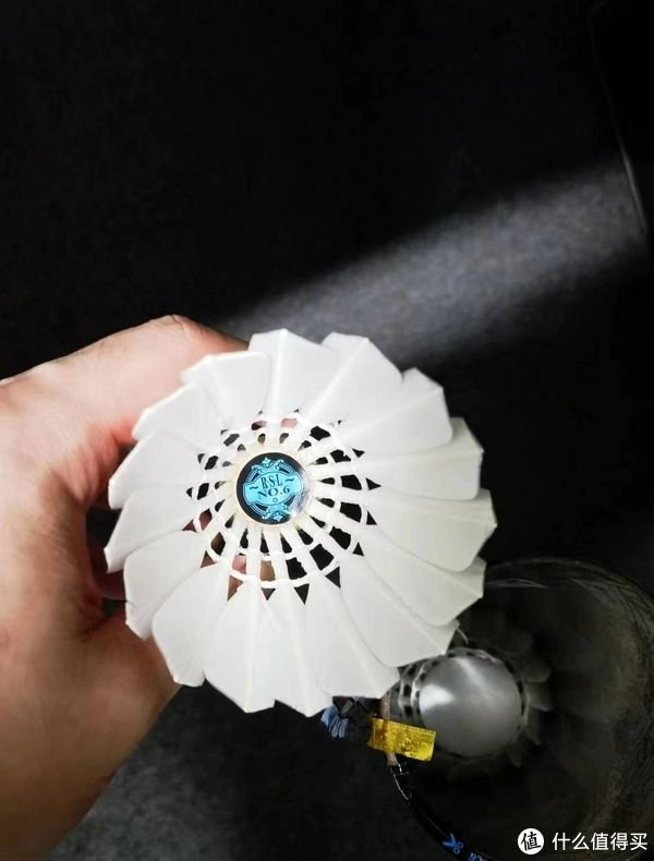 羽毛球推荐篇——亚狮龙