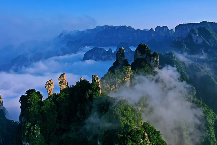 中国摄影艺术节 | "我眼中的大美中原"河南省优秀摄影作品展|河南省