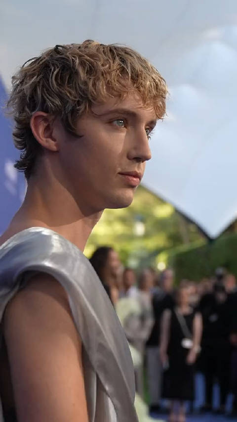 我的戳好美啊troyesivan