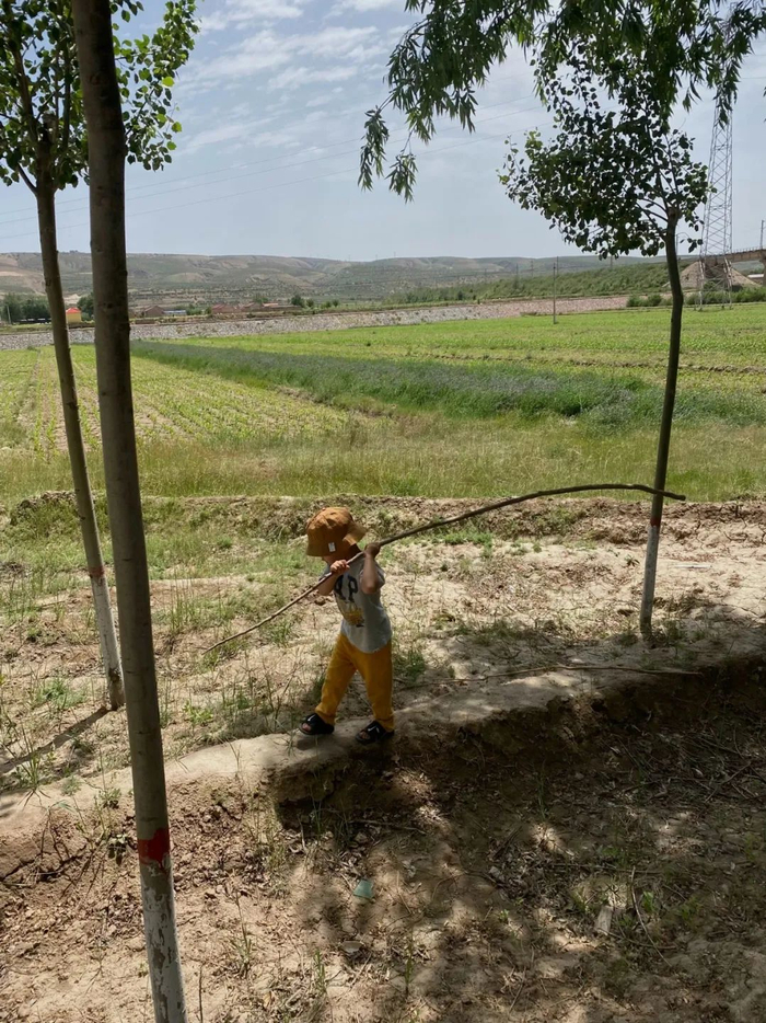 带小朋友亲近自然