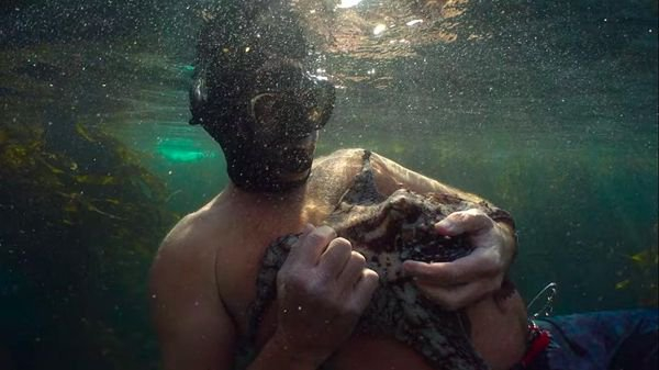 《我的章鱼老师》剧照