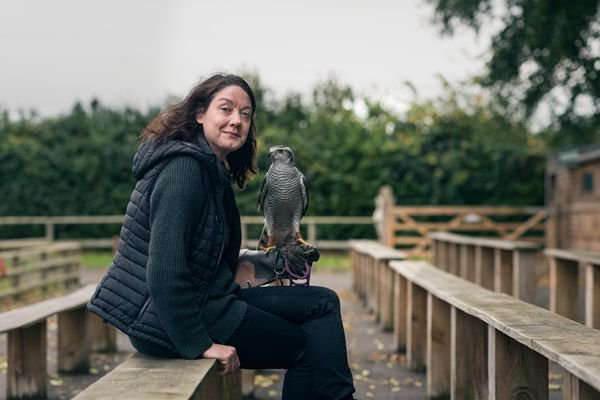 海伦·麦克唐纳与苍鹰