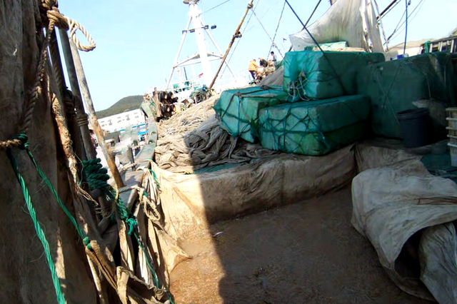 渔获物(皮条鱼)约5500公斤4艘渔船共捕捞经鉴定为禁用网具其使用的"锚