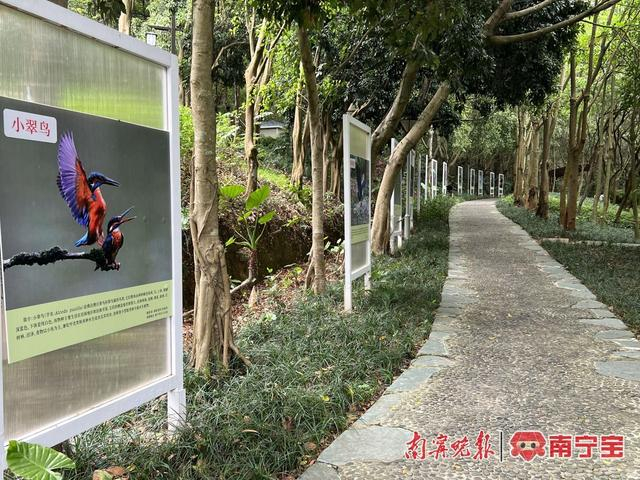 鸟类科普步道