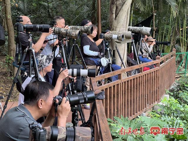 摄影师们架机静静蹲守