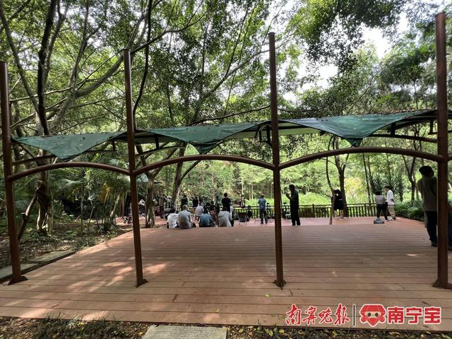 南宁市综合性公园打造的首个观鸟台