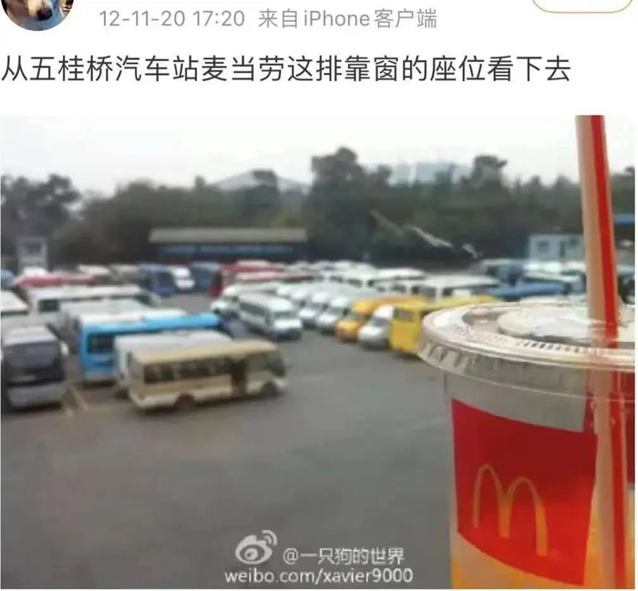 图据网友“一只狗的世界”