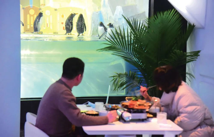 2月16日，就餐者在杭州首家以企鹅为主题的餐厅观看企鹅
