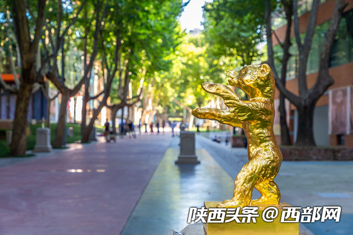 西影的星光大道（资料图）