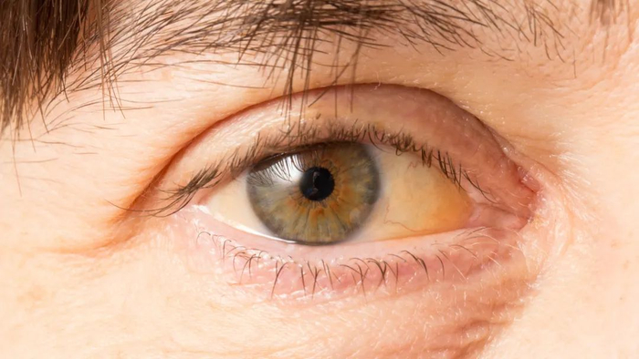 图库版权图片，转载使用可能引发版权纠纷