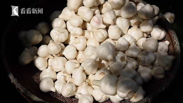 《寻味上海》│嘉定白蒜:"名蒜"重生记__财经头条