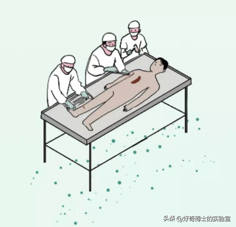 大体标本是什么捐献的遗体解剖结束后,遗体会如何处理?真相令人动容…_新闻资讯_第7张_活检穿刺产品网 大体标本是什么捐献的遗体解剖结束后,遗体会如何处理?真相令人动容…_https://www.jmylbn.com_新闻资讯_第7张