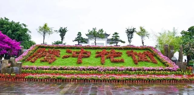 你好端阳花市,阔别三年重新开幕|花市|展区|腾冲_新浪新闻