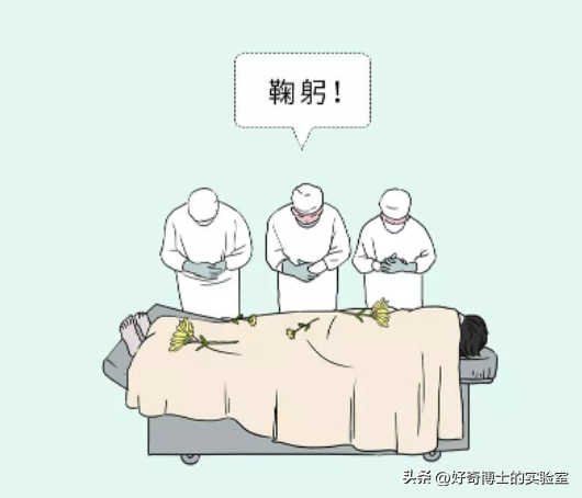 大体标本是什么捐献的遗体解剖结束后,遗体会如何处理?真相令人动容…_新闻资讯_第13张_活检穿刺产品网 大体标本是什么捐献的遗体解剖结束后,遗体会如何处理?真相令人动容…_https://www.jmylbn.com_新闻资讯_第13张