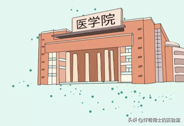 大体标本是什么捐献的遗体解剖结束后，遗体会如何处理？真相令人动容…_https://www.jmylbn.com_新闻资讯_第9张