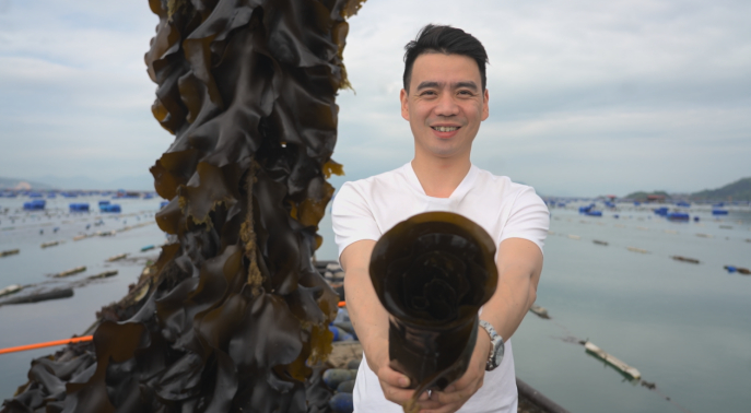 ▲海带收获期，阮克靖来看今年的海带品质。（江姜丨摄）