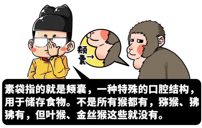 孙悟空|西游记平话|西游记_新浪新闻