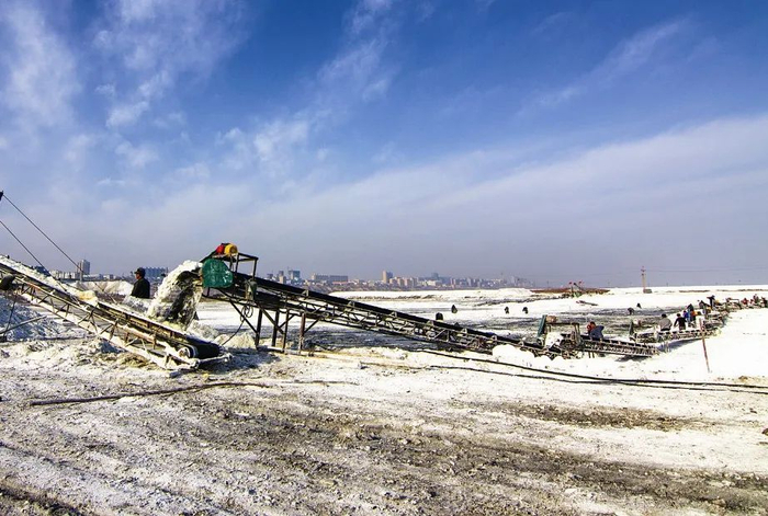 工人们在运城盐湖采硝（资料照片）。（受访单位供图）