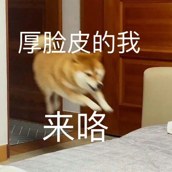 真的好失望 我和老公天下第一好 更喜欢了 我棒不棒……|表情包|憨包