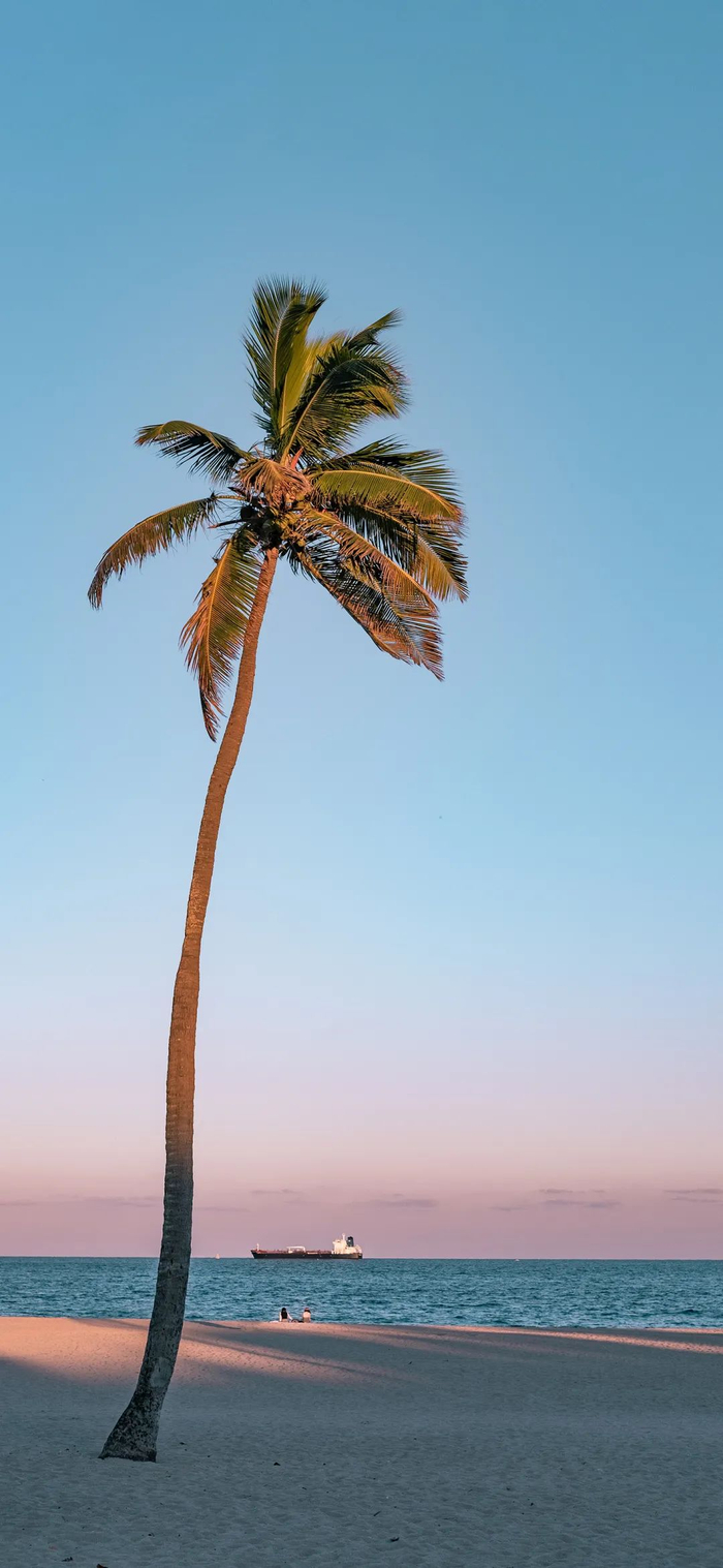 潮流壁纸精选 | 2023-06-16