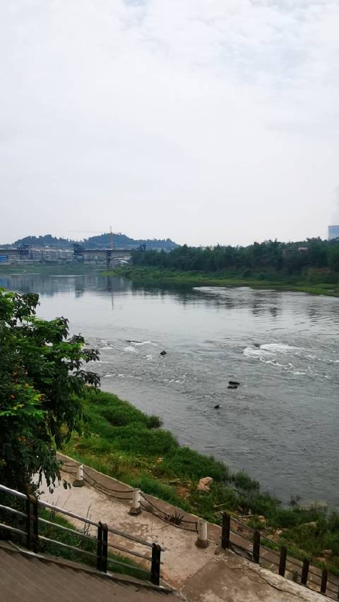 仲夏午后的沱江白马段_手机新浪网