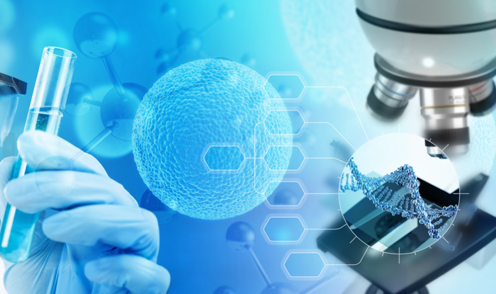 图片来源：123RF