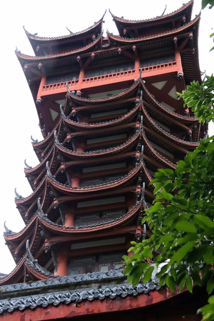 今天,重游塔子山公园
