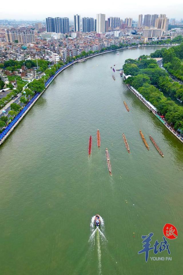 東莞時隔五年2023年道滘鎮龍舟錦標賽重新開賽